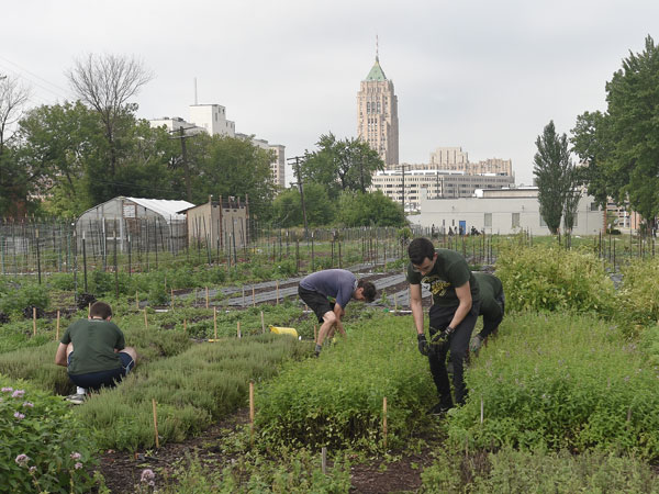 four medical students working in the urban garden